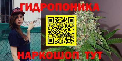 марки lsd Гусиноозёрск