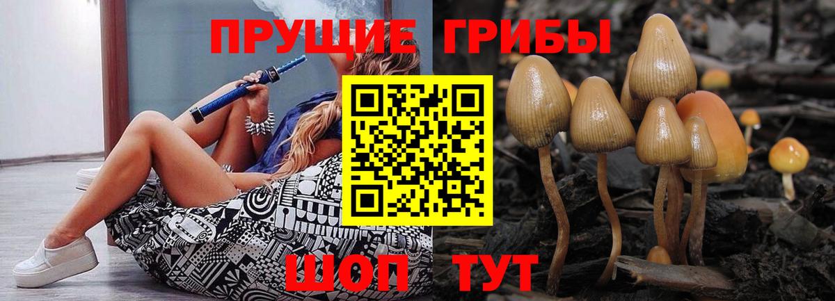 Псилоцибиновые грибы Psilocybine cubensis  Вход с VPN  Заинск 